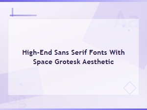 Premium High-End Sans Serif Fonts with Space Grotesk Aesthetic
